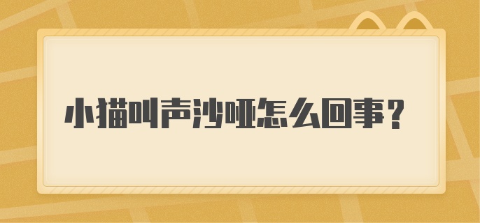 小猫叫声沙哑怎么回事？