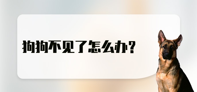 狗狗不见了怎么办？