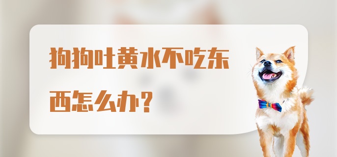 狗狗吐黄水不吃东西怎么办?