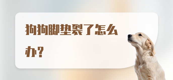 狗狗脚垫裂了怎么办？