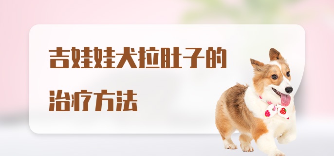 吉娃娃犬拉肚子的治疗方法