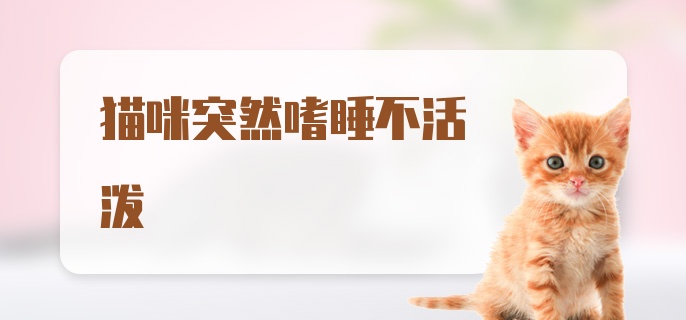 猫咪突然嗜睡不活泼