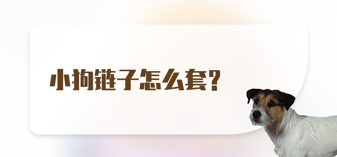 小狗链子怎么套？