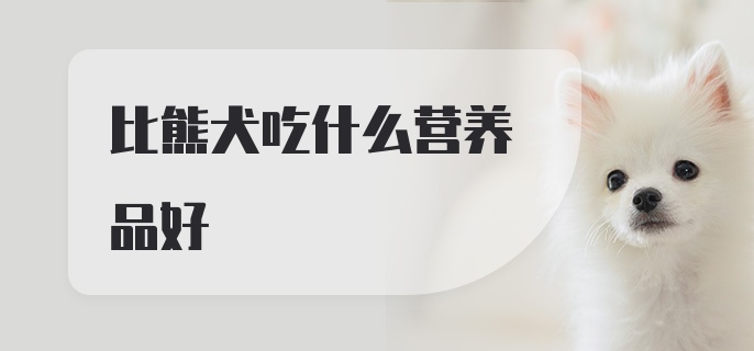 比熊犬吃什么营养品好