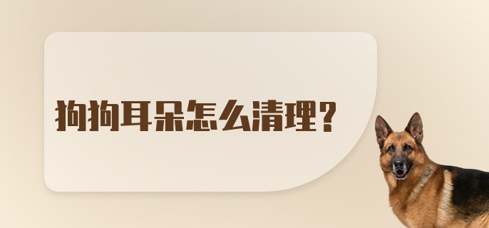 狗狗耳朵怎么清理？