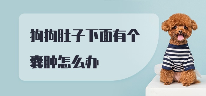 狗狗肚子下面有个囊肿怎么办