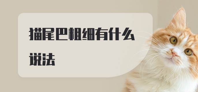 猫尾巴粗细有什么说法