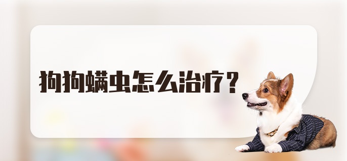 狗狗螨虫怎么治疗？