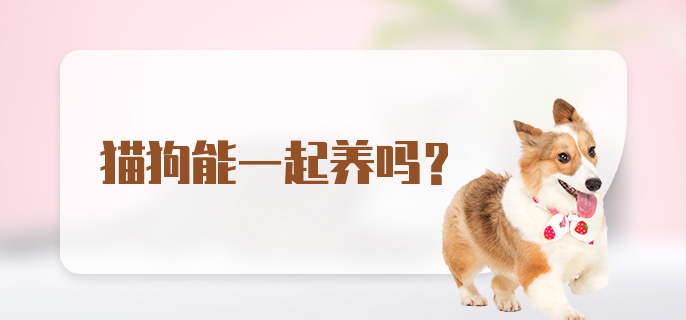 猫狗能一起养吗？