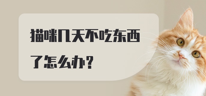 猫咪几天不吃东西了怎么办?