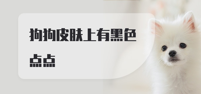 狗狗皮肤上有黑色点点