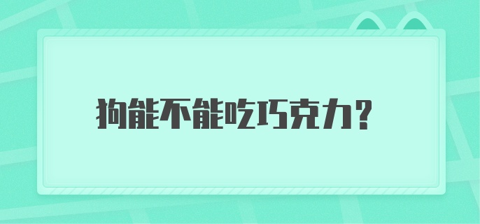 狗能不能吃巧克力？