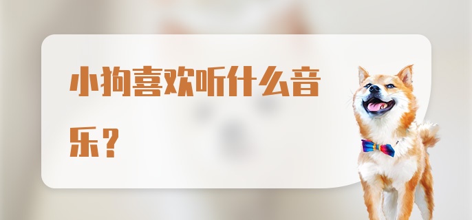 小狗喜欢听什么音乐？