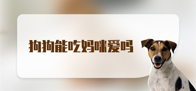 狗狗能吃妈咪爱吗