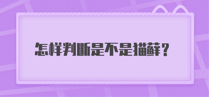 怎样判断是不是猫藓？