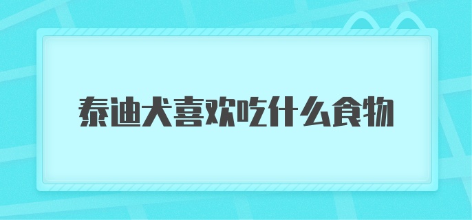 泰迪犬喜欢吃什么食物