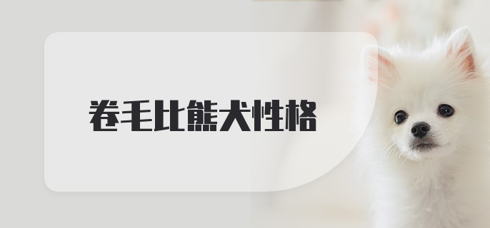 卷毛比熊犬性格