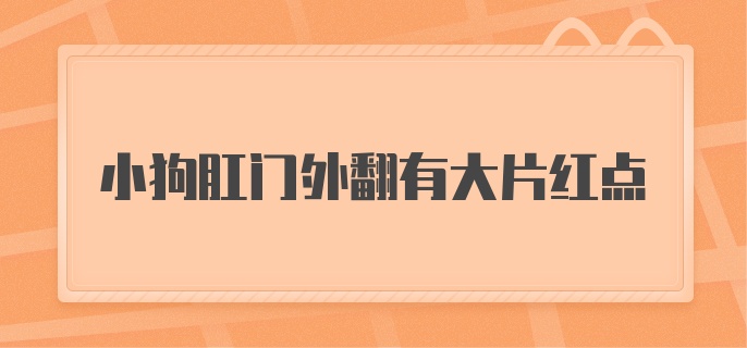 小狗肛门外翻有大片红点