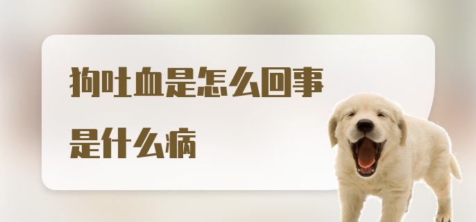 狗吐血是怎么回事是什么病