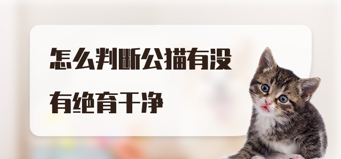 怎么判断公猫有没有绝育干净