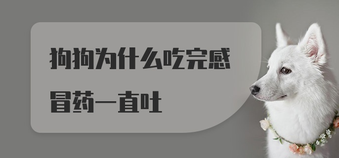 狗狗为什么吃完感冒药一直吐