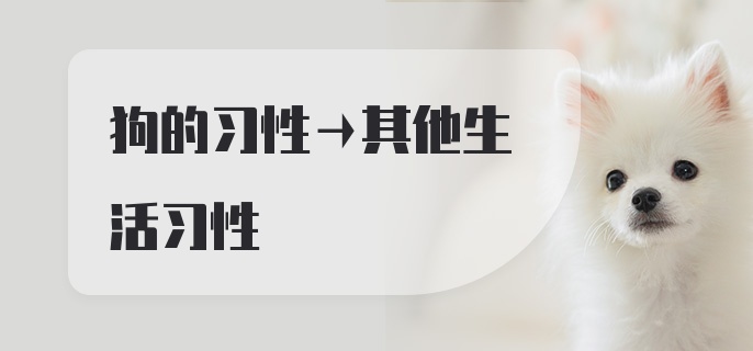 狗的习性→其他生活习性