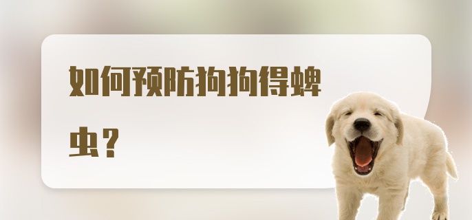 如何预防狗狗得蜱虫?