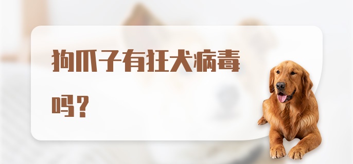 狗爪子有狂犬病毒吗？