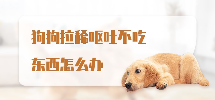 狗狗拉稀呕吐不吃东西怎么办