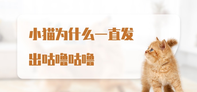 小猫为什么一直发出咕噜咕噜