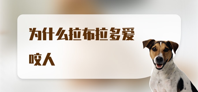 为什么拉布拉多爱咬人