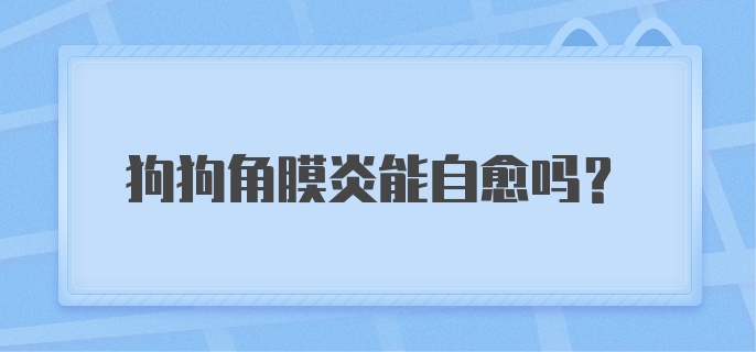 狗狗角膜炎能自愈吗？