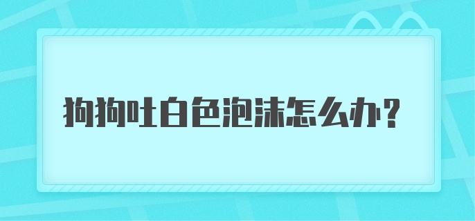 狗狗吐白色泡沫怎么办？