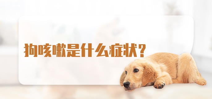 狗咳嗽是什么症状？