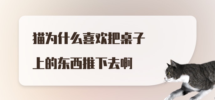 猫为什么喜欢把桌子上的东西推下去啊