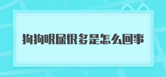 狗狗眼屎很多是怎么回事