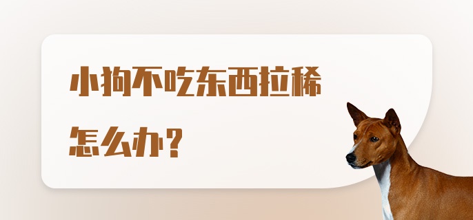 小狗不吃东西拉稀怎么办？