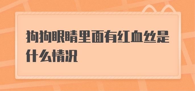 狗狗眼睛里面有红血丝是什么情况