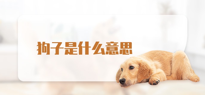 狗子是什么意思