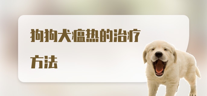 狗狗犬瘟热的治疗方法