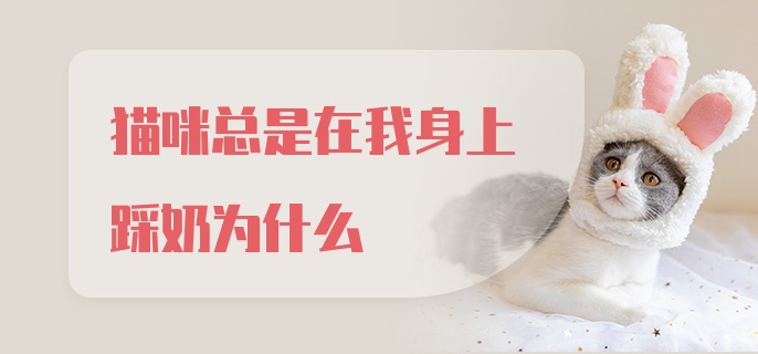 猫咪总是在我身上踩奶为什么