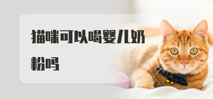 猫咪可以喝婴儿奶粉吗