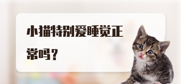 小猫特别爱睡觉正常吗？