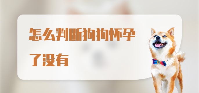 怎么判断狗狗怀孕了没有