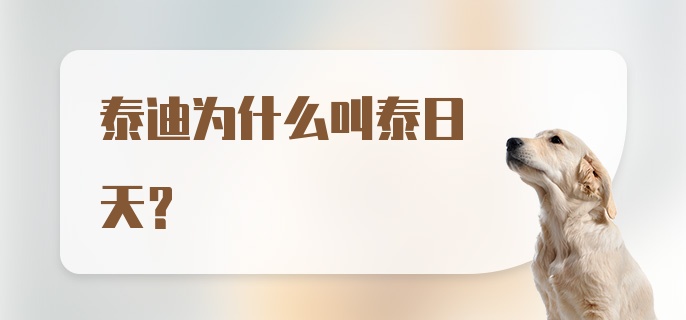 泰迪为什么叫泰日天？