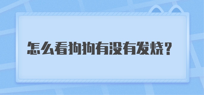 怎么看狗狗有没有发烧？