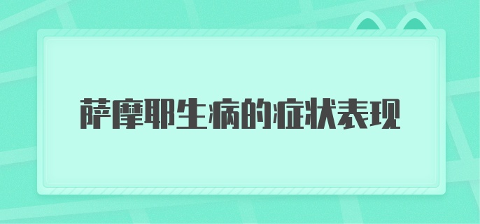 萨摩耶生病的症状表现