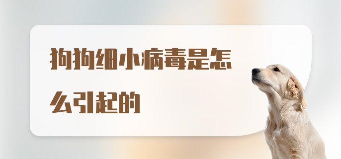 狗狗细小病毒是怎么引起的