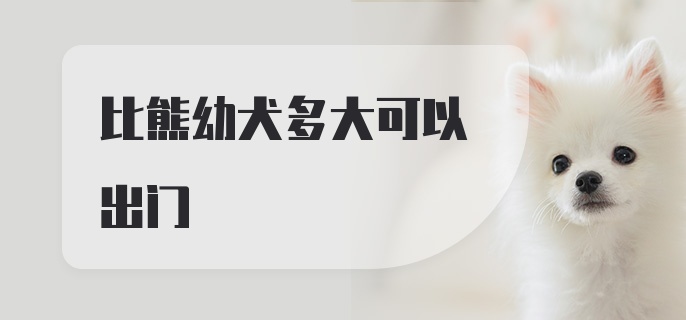 比熊幼犬多大可以出门