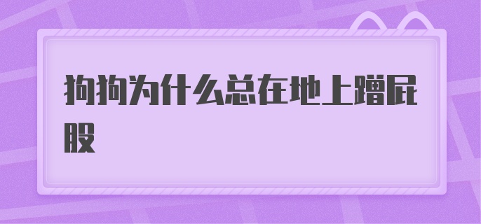 狗狗为什么总在地上蹭屁股